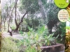dsc00013